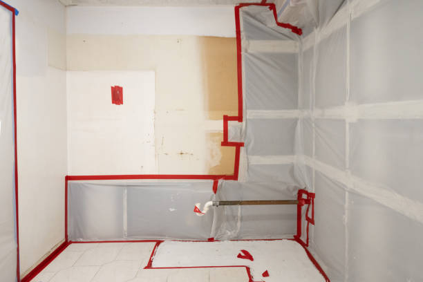 Best Mold Documentation for Insurance Claims  in Alanes Ridge, CA
