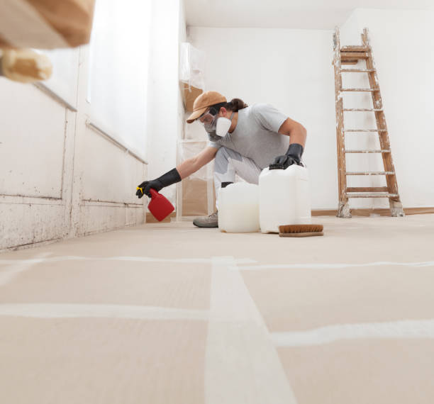Best Environmental Consulting for Mold Prevention  in Alanes Ridge, CA
